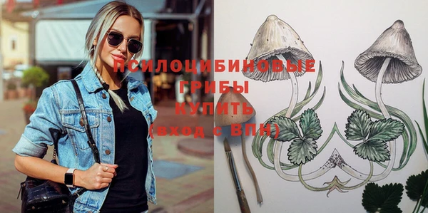 бошки Осташков