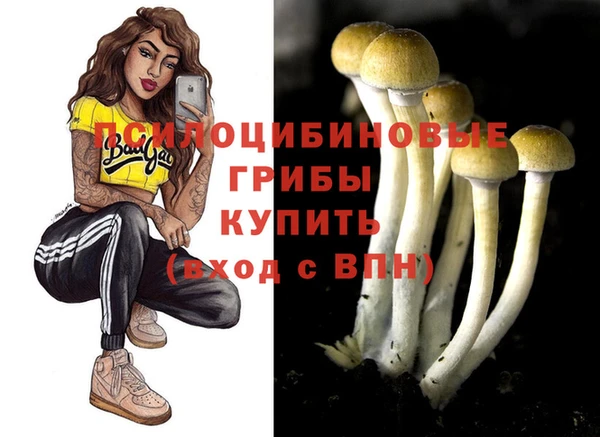 ECSTASY Остров