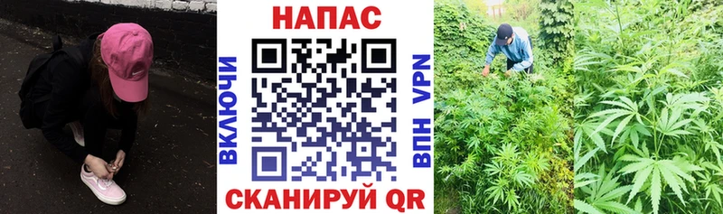 купить  цена  hydra зеркало  Марихуана White Widow  Короча 